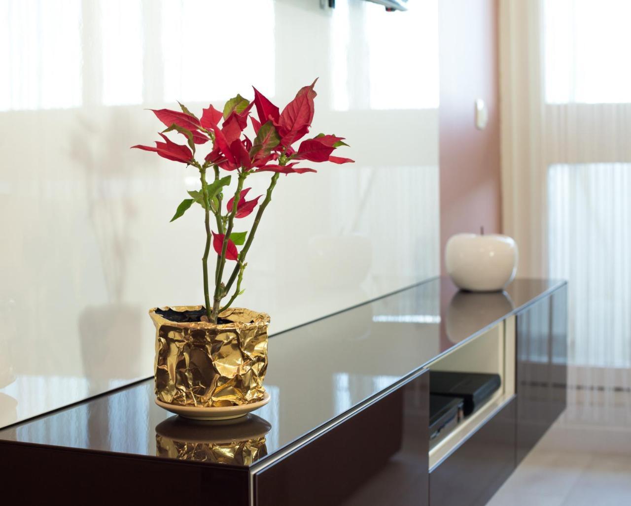 ספליט Apartment Amalfi מראה חיצוני תמונה